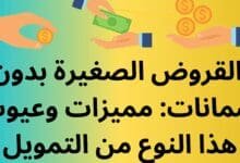 القروض-الصغيرة-بدون-ضمانات