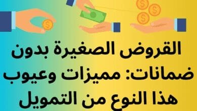 القروض-الصغيرة-بدون-ضمانات