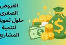 تمويل السيارات المهنية: الحل المثالي لتطوير نشاطك المهني والتجاري