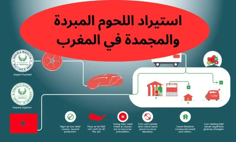 استيراد اللحوم المبردة والمجمدة في المغرب: فرص استثمارية وأفكار مشاريع مربحة في ظل القانون الجديد 1 استيراد اللحوم المبردة والمجمدة في المغرب