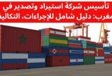 تأسيس شركة استيراد وتصدير في المغرب