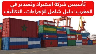 تأسيس شركة استيراد وتصدير في المغرب
