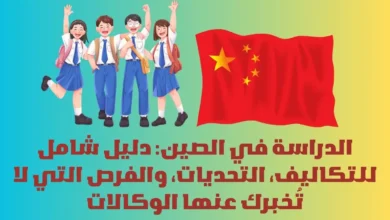 الدراسة في الصين