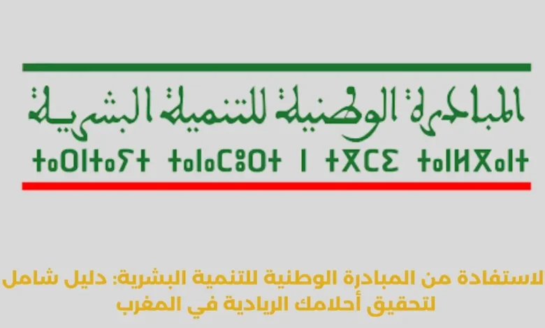 الاستفادة من المبادرة الوطنية للتنمية البشرية: دليل شامل لتحقيق أحلامك الريادية في المغرب 1 المبادرة الوطنية للتنمية البشرية