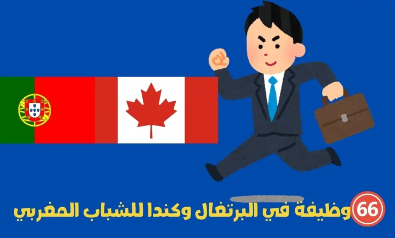 66 وظيفة في البرتغال وكندا للشباب المغربي 2025-2026: التخصصات المطلوبة وخطوات التقديم 1 66 وظيفة في البرتغال وكندا