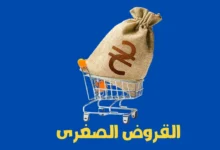 القروض الصغرى