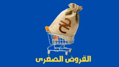 القروض الصغرى