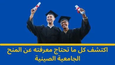 المنح الجامعية الصينية