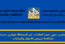 العقارات غير المحفظة