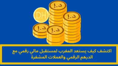 الدرهم الرقمي