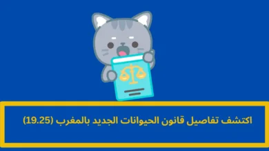 قانون الحيوانات الجديد